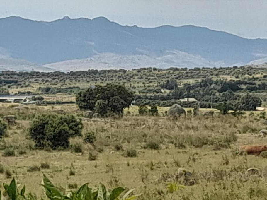Casa De Las Lavandas, Ávila Exteriör bild